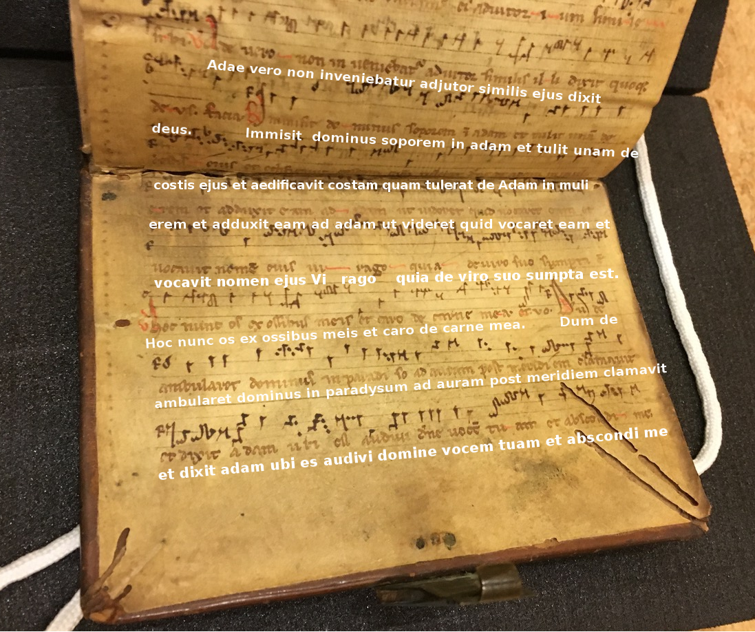 A picture of the back pastedown with a typeset copy of the latin text overlaid