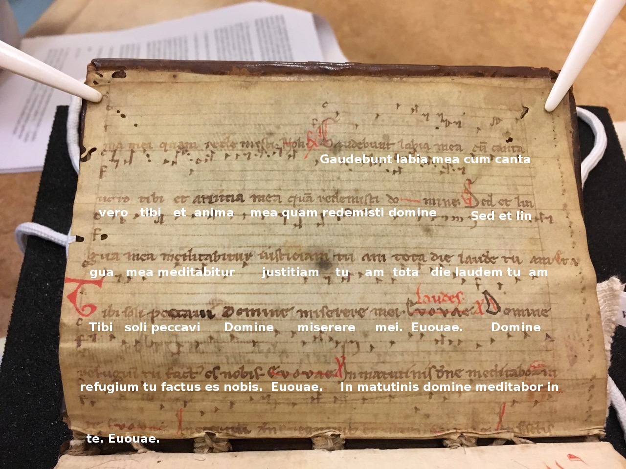 A picture of the first page with a typeset copy of the latin text overlaid